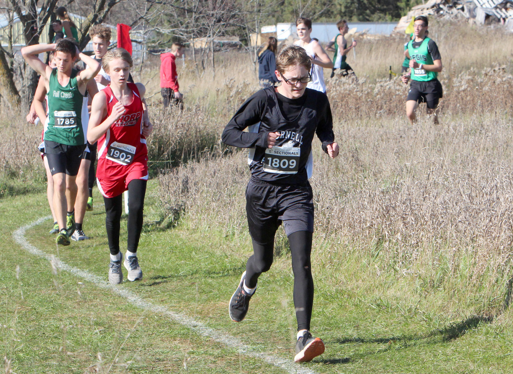 Division 3 Cross Country Sectionals in Boyceville 10-26-19